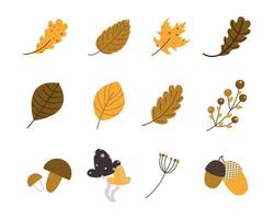 set of autumn leaves and fruits. collection of 12 different elements. Universal design for advertising and thematic advertising products. Vector illustration, hand-drawn