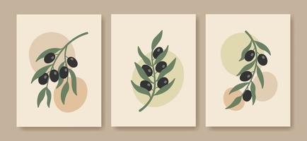 afiches de rama de olivo minimalistas boho abstractos. arte mural botánico en colores pastel. vector
