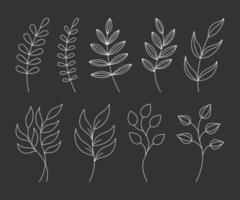 hojas de plantas minimalistas botánicas, ramas en estilo de línea sobre fondo negro. vector