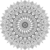 diseño de mandala de belleza vectorial vector