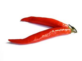 Hot red chili pepper. Chili pepper isolated on a white background photo