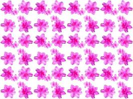 Flowers Pattern background photo