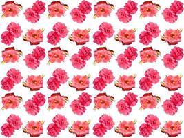 Flowers Pattern background photo