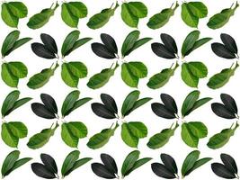 Pattern Leaf background photo