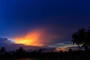 árbol de coco en el fondo del atardecer. foto