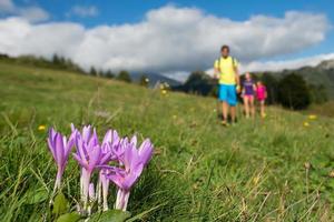 flor de montaña rosa con familia en una caminata foto