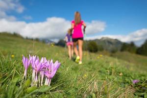 Pink mountain flower with girls running in the meadow photo