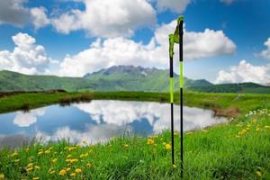 Trekking poles planted in the meadow during an excursion photo