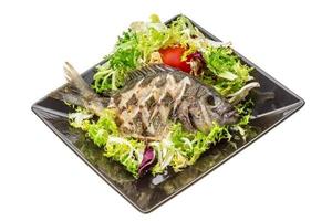 Grilled Tilapia with salad photo