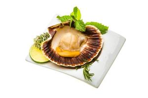 Scallop with asparagus, lime, mint and rosemary photo