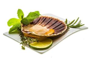 Scallop with asparagus, lime, mint and rosemary photo