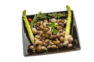 Escargot with asparagus, rosemary, thymus and tomato photo