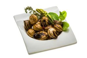 Escargot with asparagus, rosemary, thymus and tomato photo