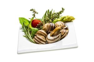 Escargot with asparagus, rosemary, thymus and tomato photo