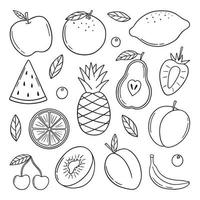 Hand drawn set of summer tropical fruits doodle.  Vegetarian food in sketch style.  Vector illustration isolated on white background.