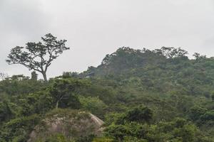 selva china, isla de hainan foto