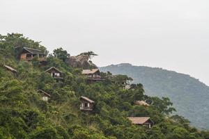 Chinese jungle, island of Hainan photo