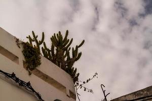 Traditional Tunisian architecture photo