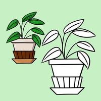 Tropical flower with small leaves, cartoon houseplant in a ceramic pot, vector illustration on a light background. A set for a coloring book.