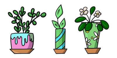 A set of colored pictures. Indoor plant in a ceramic pot, tropical flower, cartoon vector illustration on a white background