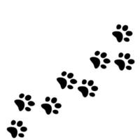 Prints paws cat graphic icons. Traces cat isolated on white background. Footprints animal. Vector illustration. cats lover.