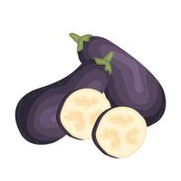 eggplant health japanese vegetarian ingredient kitchen vector fruit plant nature sweet cooking tasty