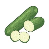 cucumber vegan kitchen summer season ingredient vegetable harvest food plant salad vector organic