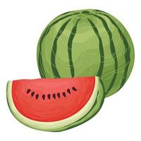 watermelon icon fruit summer spring element vector watercolor tropical party illustration healthy
