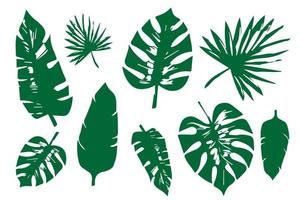 tropical leaves, bright colored, vector isolated objects set, juicy green