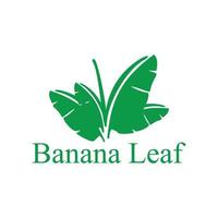 green banana leaves vector