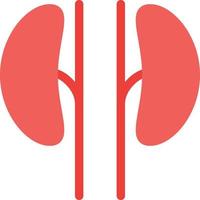 Kidney vector illustration on a background.Premium quality symbols.vector icons for concept and graphic design.