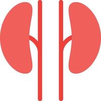 Kidney vector illustration on a background.Premium quality symbols.vector icons for concept and graphic design.