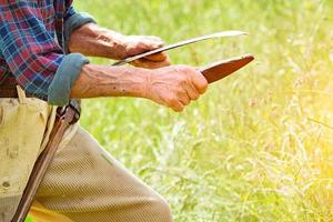 Farmer with beard sharpening his scythe for using to mow the grass traditionally photo