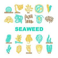 Seaweed Sea Underwater Plant Icons Set Vector