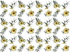 pattern Flowers on a white background photo