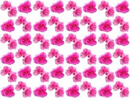 Floral Pattern background photo