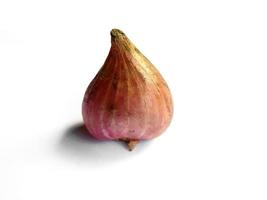 Onion. Fresh red onion on white background photo