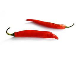 Hot red chili pepper. Chili pepper isolated on a white background photo