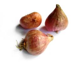 Onion. Fresh red onion on white background photo