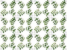 Pattern Leaves background photo