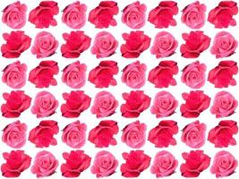 Flowers Pattern background photo