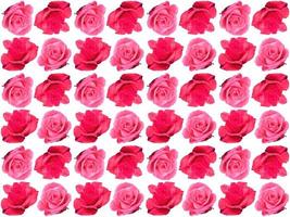 Flowers Pattern background photo