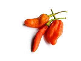 Chili pepper isolated on a white background. hot red chili pepper photo