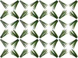 Pattern Leaves on a white background photo