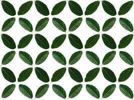 Leaf pattern background photo
