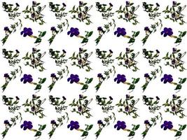 pattern Flowers on a white background photo