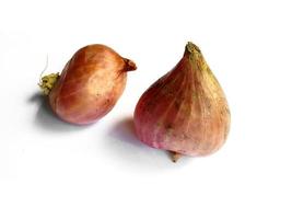 Onion. Fresh red onion on white background photo