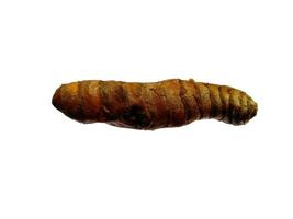 Fresh turmeric root. Fresh Cut Turmeric or Curcuma Longa Isolated on white background photo