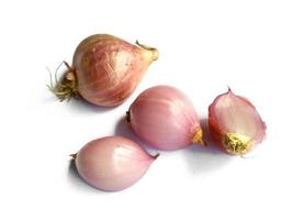 Onion. Fresh red onion on white background photo