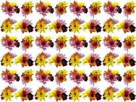 Flowers Pattern on a white background photo